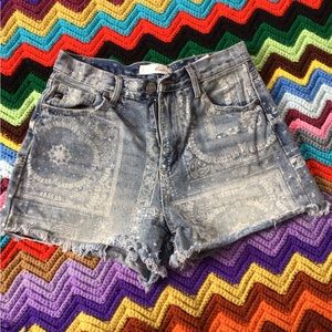 Kancan printed shorts